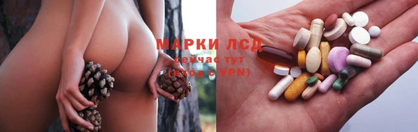 ПСИЛОЦИБИНОВЫЕ ГРИБЫ Зеленокумск
