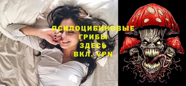 гашик Зеленодольск