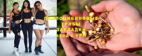 гашик Зеленодольск