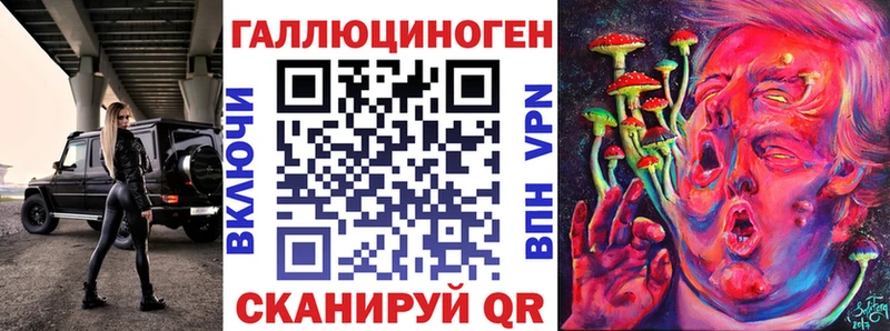 Купить закладки  Бологое  Псилоцибиновые грибы мицелий 